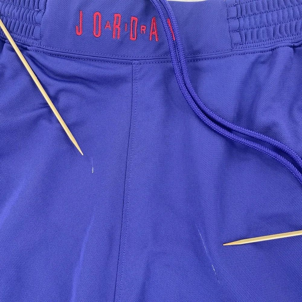Air Jordan Cat Scratch Shorts Mens 3XL Purple Basketball Retro Y2K Baggy Active
